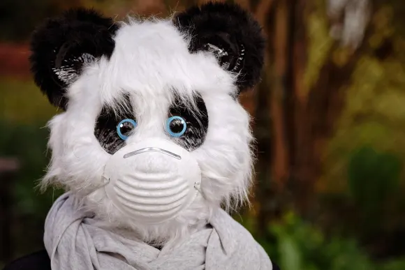 SpinShake Casino Supporto